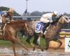 Saudi Crown wins $1 million Pennsylvania Derby on sloppy track