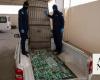 Saudi authorities thwart massive hash-smuggling attempt