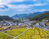 Chinese modernization: Harmony between humanity and nature