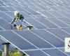 Renewable energy sector jobs nearly double over past decade: IRENA