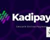 BNPL company KadiPay receives SAMA permit, boosting Saudi fintech