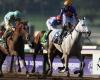 White Abarrio wins $6m Breeders’ Cup Classic, trainer Rick Dutrow back on top after 10-year exile