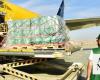Gaza mission: Third Saudi relief plane lands in Egypt