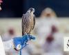 Saudi Falcon Club concludes auction with sales soaring to $1.9m