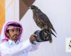 Feathers fly at falcon festival