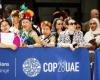 COP28: Big promises on oil but environmentalists wary