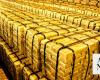 Global central banks maintain gold buying momentum in October: World Gold Council