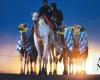 Camel milk set to provide sustenance for Saudi Arabia’s economic transformation