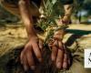 Saudi initiative to plant 100,000 trees in Bahrain