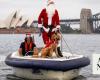 Sailing milestone: A half-century of starts for a competitor in the Sydney to Hobart yacht race