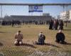 Video shows at least two children among men stripped and detained by Israeli troops in Gaza stadium