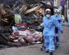 Japan earthquake: Nearly 250 missing as hope for survivors fades