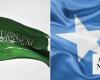 Saudi Arabia affirms keenness on unity of Somalia