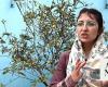 Trailblazing non-Muslim woman vies for provincial assembly seat in Pakistan