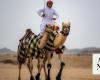 Saudi teen bags 30 awards for camel racing