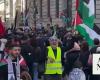 Thousands of pro-Palestinian protesters march in Madrid