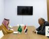 Saudi and Egyptian foreign ministers discuss bilateral ties