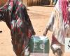 KSrelief distributes 950 food parcels to displaced people in Khartoum