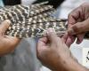 Art of falcon feather repair thrives in Kingdom