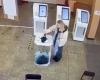Arrests for vandalism as ballot boxes targeted in Russian elections
