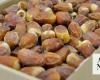 Qassim date markets flourish during Ramadan