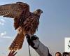 Saudi nature reserve builds aviculture center for endangered desert bird