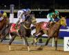 8 things to look out for at the 2024 Dubai World Cup