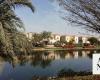 Rental prices for villas in Dubai surge 16.2%: CBUAE