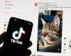 Legislation that could force a TikTok ban revived as part of House foreign aid package