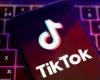 TikTok warns US ban would ‘trample free speech’