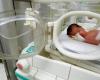 Baby saved from dead mother's womb in Gaza dies