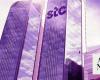 stc Bank set to launch later this year, says group CEO  