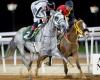 Taif to host first group race as King Faisal Cup is upgraded