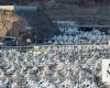 Saudi Civil Defense bolsters teams for Hajj in Mina