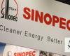 Sinopec unit signs $1.1bn deal to build gas pipelines for Aramco