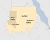 Last civilian hospital in besieged Sudan city closed