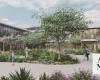 Saudi Ministry of Health approves design for Turtle Bay Hospital