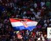 Serbia FA threatens to quit Euros if UEFA does not punish Croats and Albanians over chants
