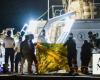 Italian coast guard recovers 14 more bodies of shipwreck victims off Calabria, dozens still missing