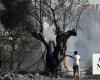 Anger after fireworks trigger Greek forest fire