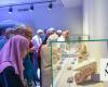 Al-Safiya Museum and Orchard in Madinah attracts visitors
