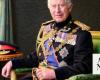 Portrait of King Charles unveiled for Britain’s Armed Forces Day