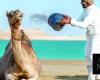 UNESCO-inscribed oral tradition of Alheda’a reflects enduring bond between Arabs and camels