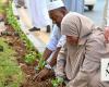 Madinah launches plan to plant 300 trees