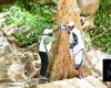 Saudi nature walking scheme promotes environmental awareness