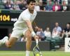 Alcaraz, Medvedev set up Wimbledon semifinal repeat, Vekic ends Sun's dream