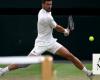 Novak Djokovic moves into Wimbledon semifinals after Alex de Minaur withdraws