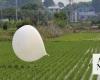 North Korea launching more trash balloons: Seoul military