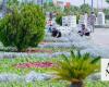 Trees and flowers bring beauty to Tabuk as part of municipality planting project
