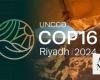Saudi Arabia sets up operations room for COP16 preparation